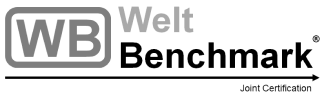 Welt logo